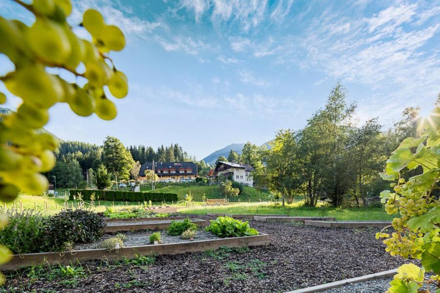 Hotel Vitaler Landauerhof Schladming Dış mekan fotoğraf